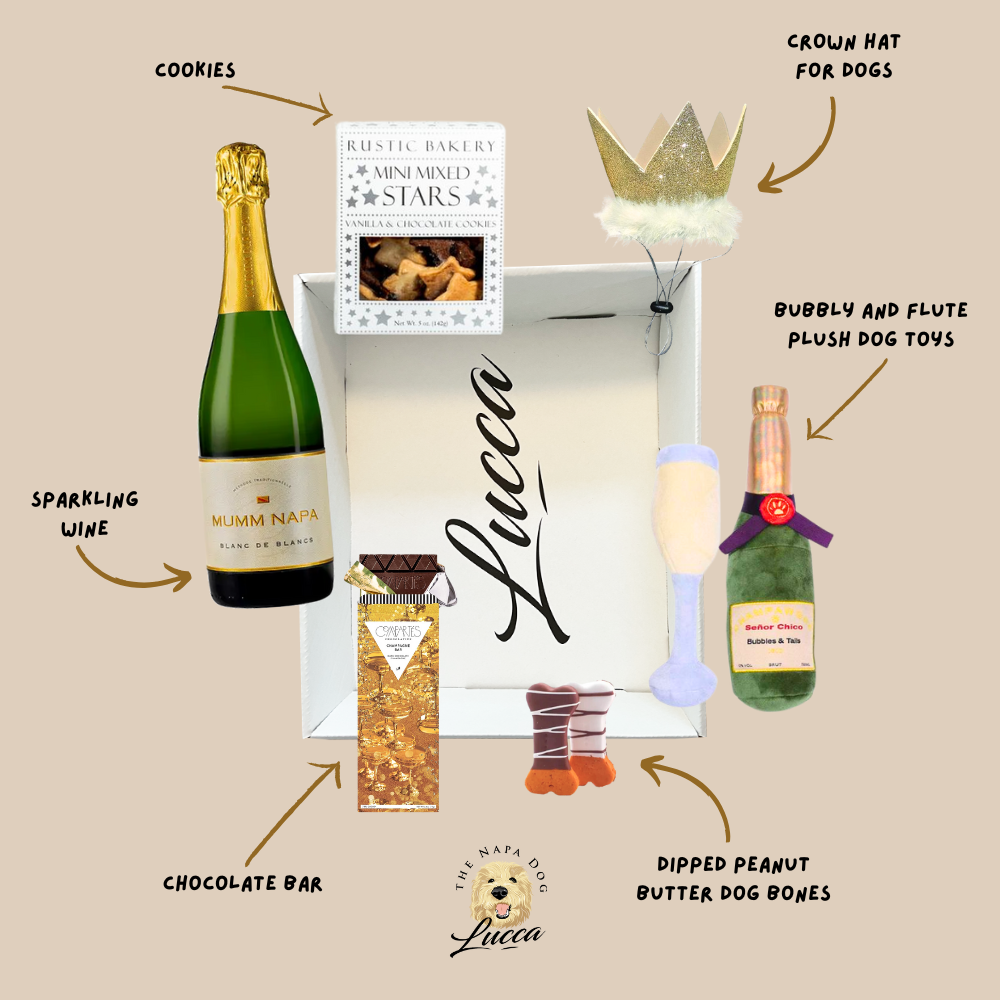 Celebration Paw-ty Sparkling Wine Buddies Gift Basket- A Special Toast for Two