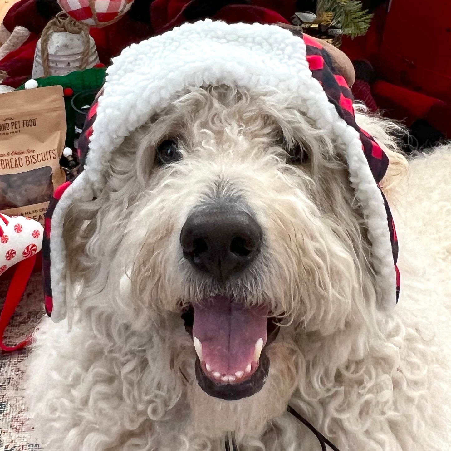 Holiday Dog Hat with Moose Antlers