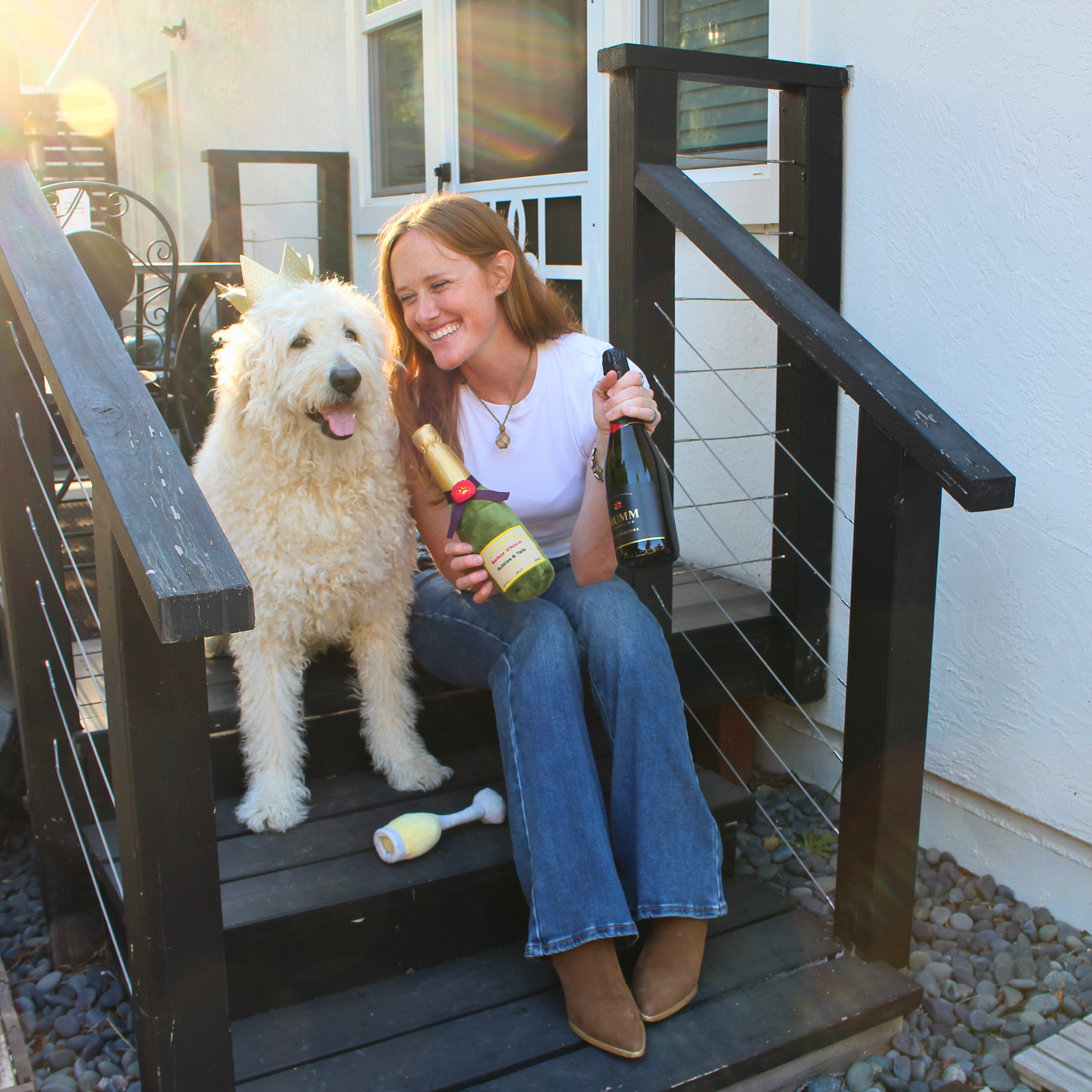 Celebration Paw-ty Sparkling Wine Buddies Gift Basket- A Special Toast for Two