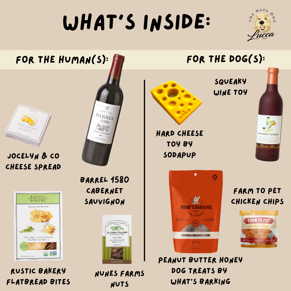 Vine to Canine Wine Pairing Buddies Gift Basket for Wine Lovers and Their Pups