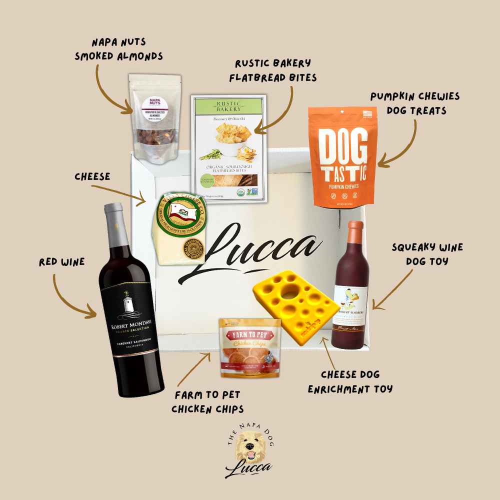 Vine to Canine Wine Pairing Buddies Gift Box for Dog Owners and Their Pup Lucca The Napa Dog