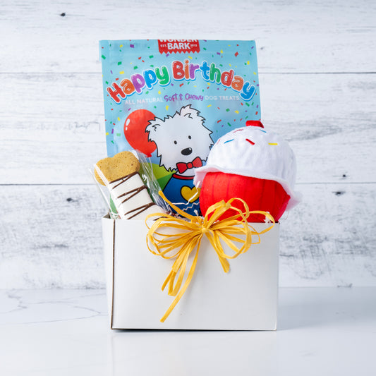 Happy Birthday Buddy Dog Gift Set