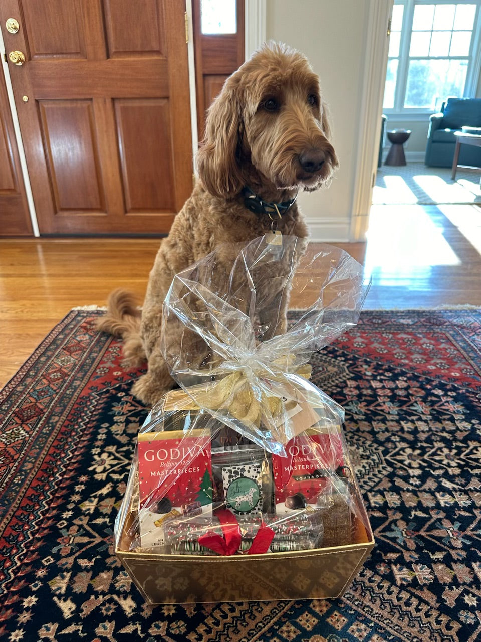 dog sitting next to holiday gift basket for her and her owner