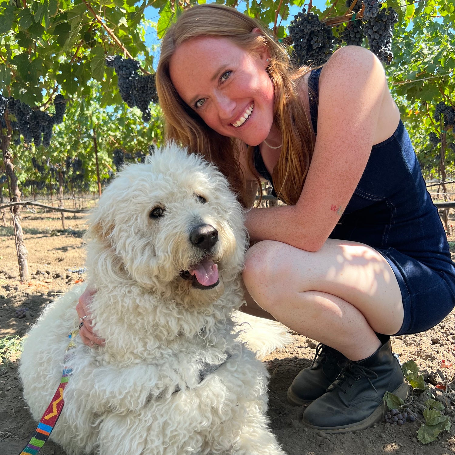 sammy and lucca pose in the vineyards together