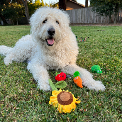 Farm To Table 3 Piece Vegetable Dog Toy Set