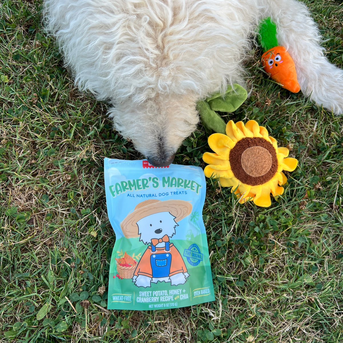 Farmers Market Buddies Dog & Owner Gift Basket