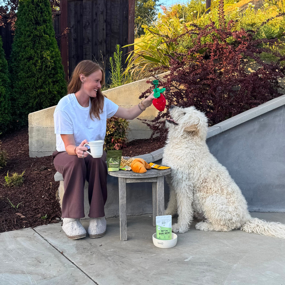 Matcha Mornings Buddies Gift Basket for Dogs & Owners