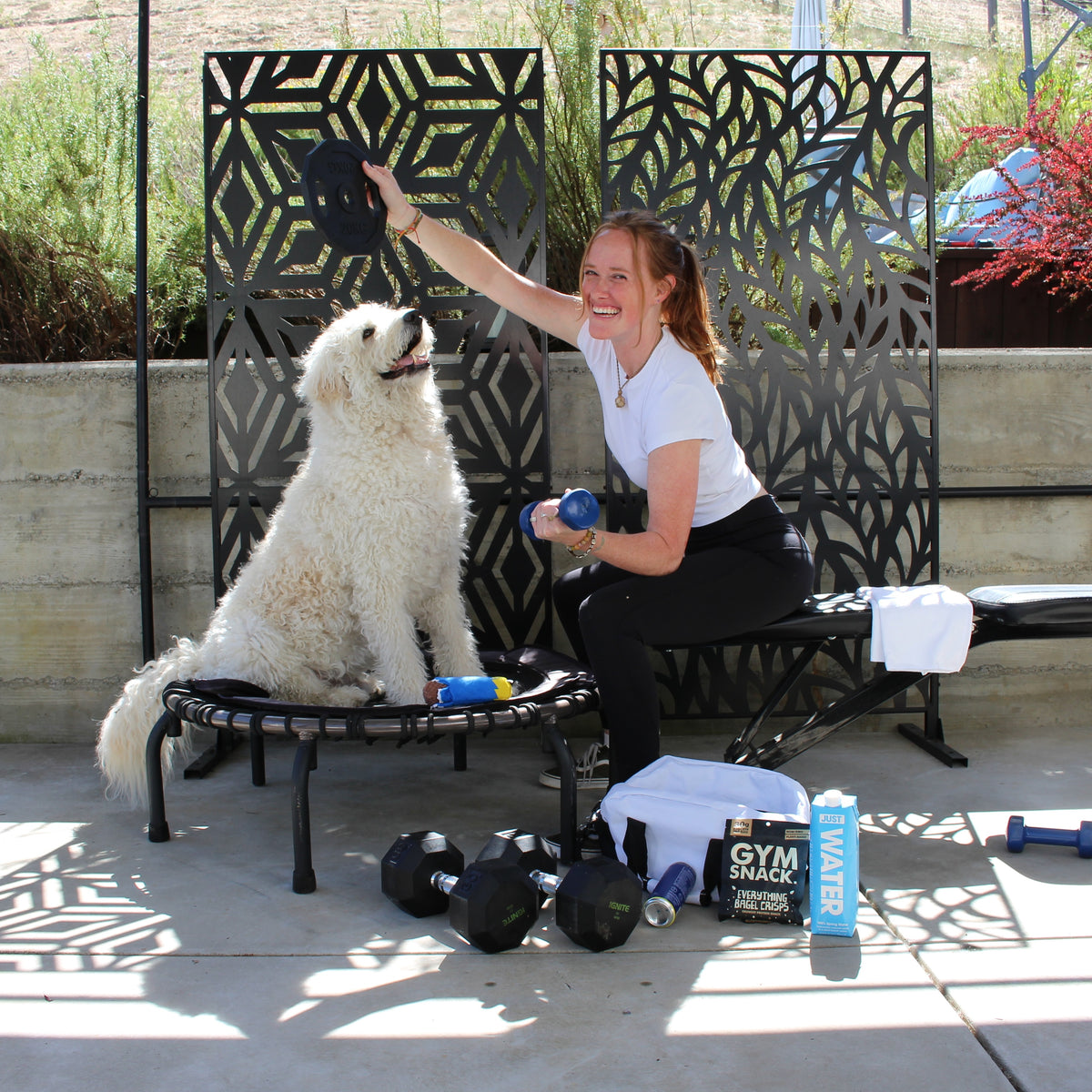 Gym Buddies Gift Basket for the Fitness Dog & Human Duo