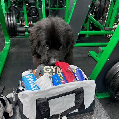 Gym Buddies Gift Basket for the Fitness Dog & Human Duo