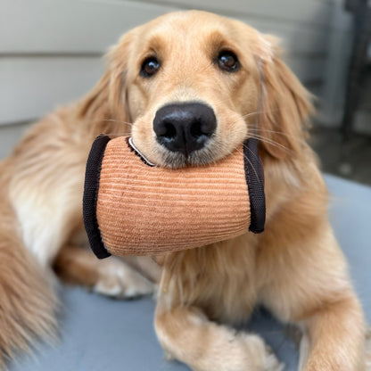 dog holding coffee plush toy 