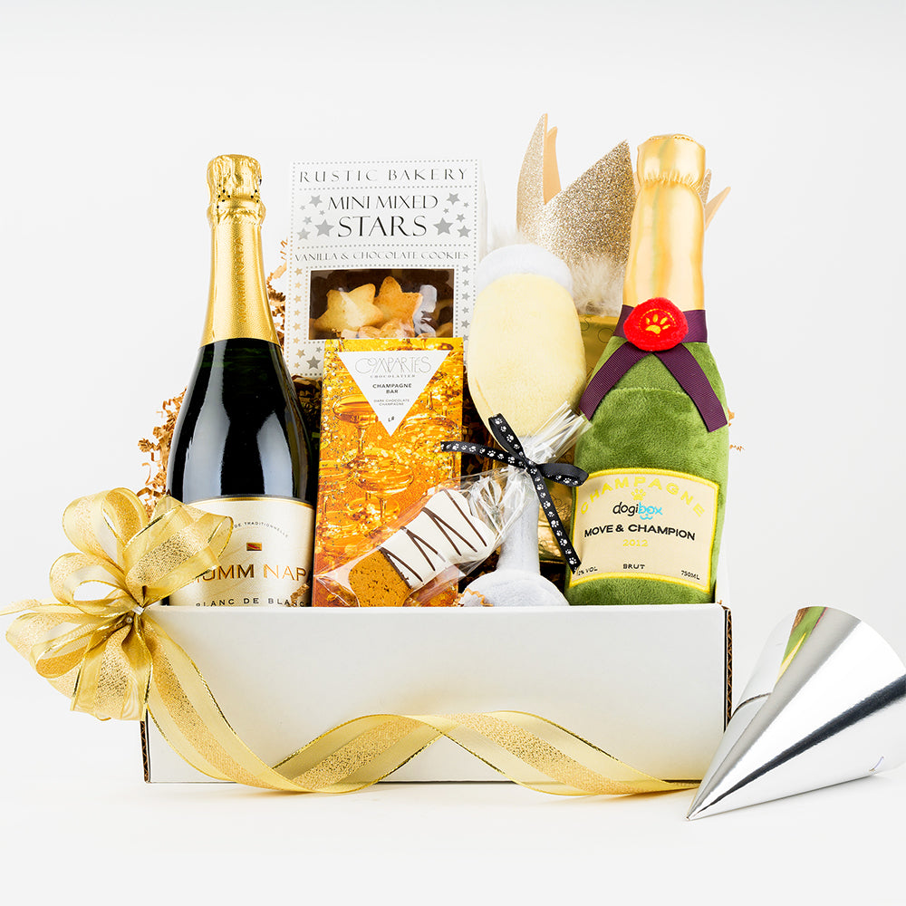 Celebration Paw-ty Sparkling Wine Buddies Gift Basket- A Special Toast for Two