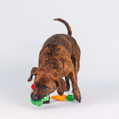 Farm To Table 3 Piece Vegetable Dog Toy Set