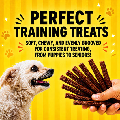 Fetch Fries Natural Dog Treats - Chicken and Sweet Potato
