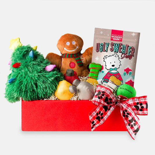 Just for the Dog, Christmas Holiday Surprise for Your #1 Buddy