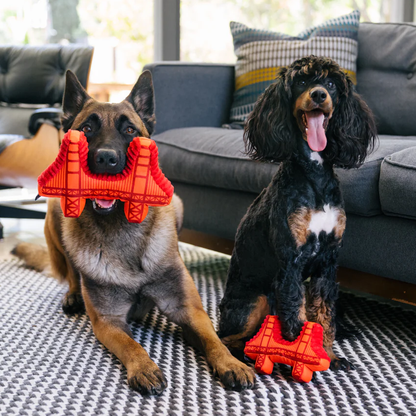 San Francisco, California Golden Gate Bridge Dog Toy
