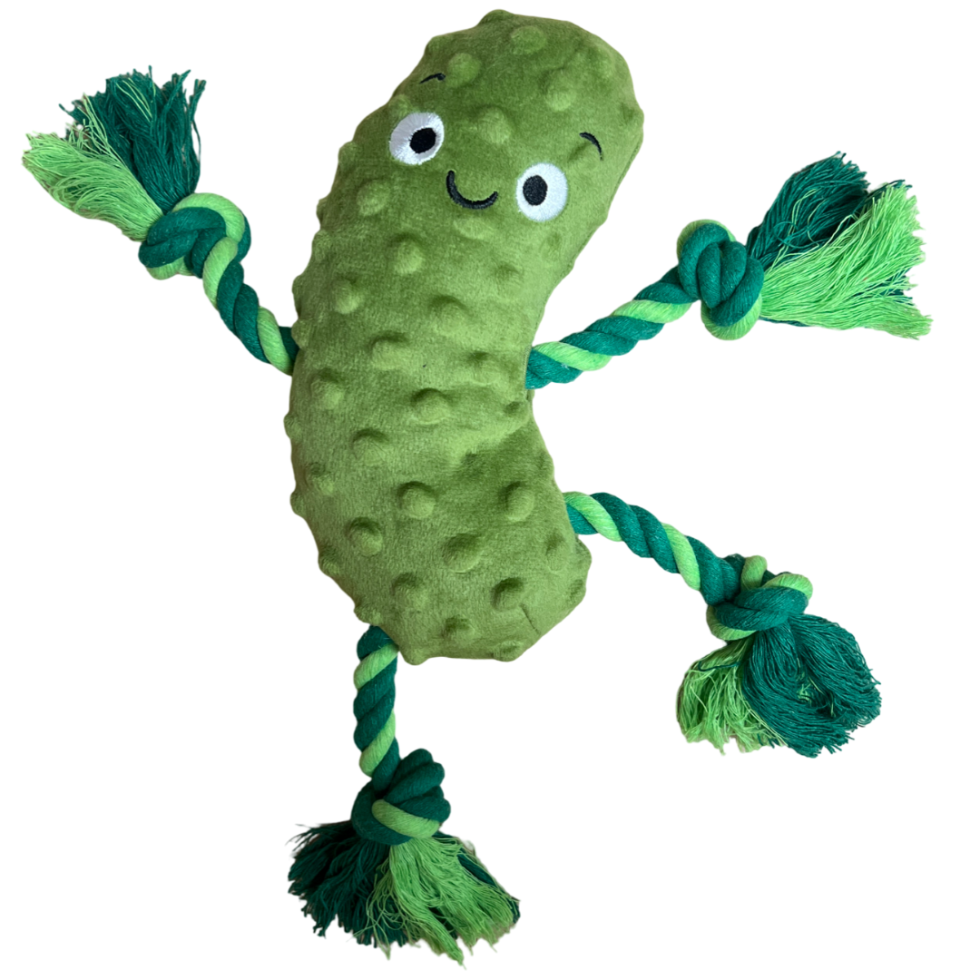 Pickle Dog Toy by Roct Outdoor