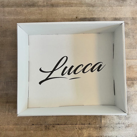 stop motion video showing the build of the barking birthday bash buddies by lucca gift box