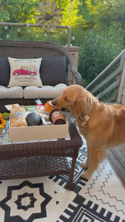 Coffee & Paw-fee Buddies Gift Basket for Shared Sips and Puppy Snuggles