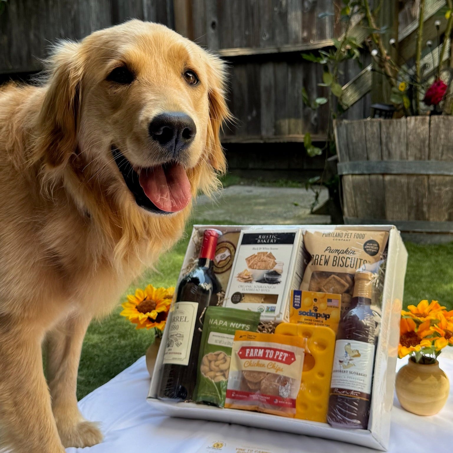 Dog standing next to a gift box with wine and snacks on a blanket outdoors.