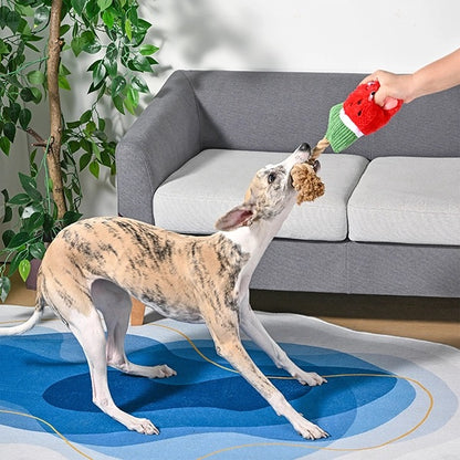 Watermelon Popsicles Plush Rope Dog Toy